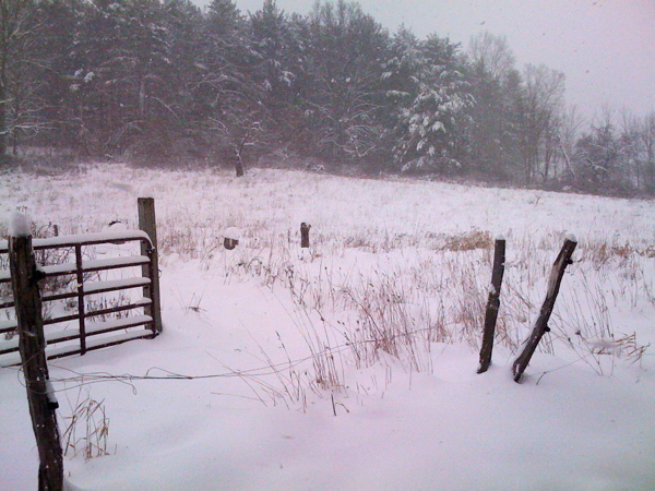 field gate in snow