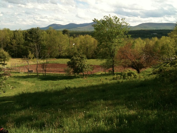view from the hill